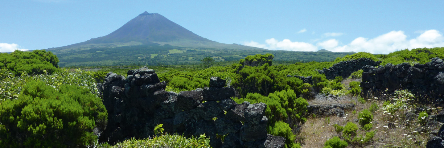 Plongée-Volcan-des-Açores