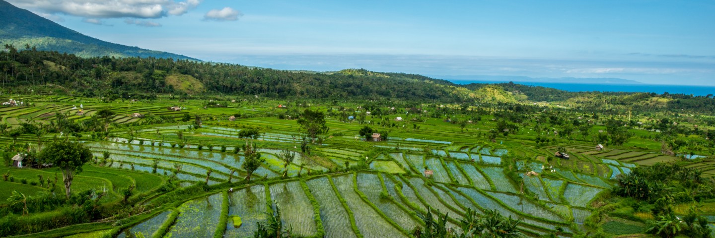 Tauchen-Bali