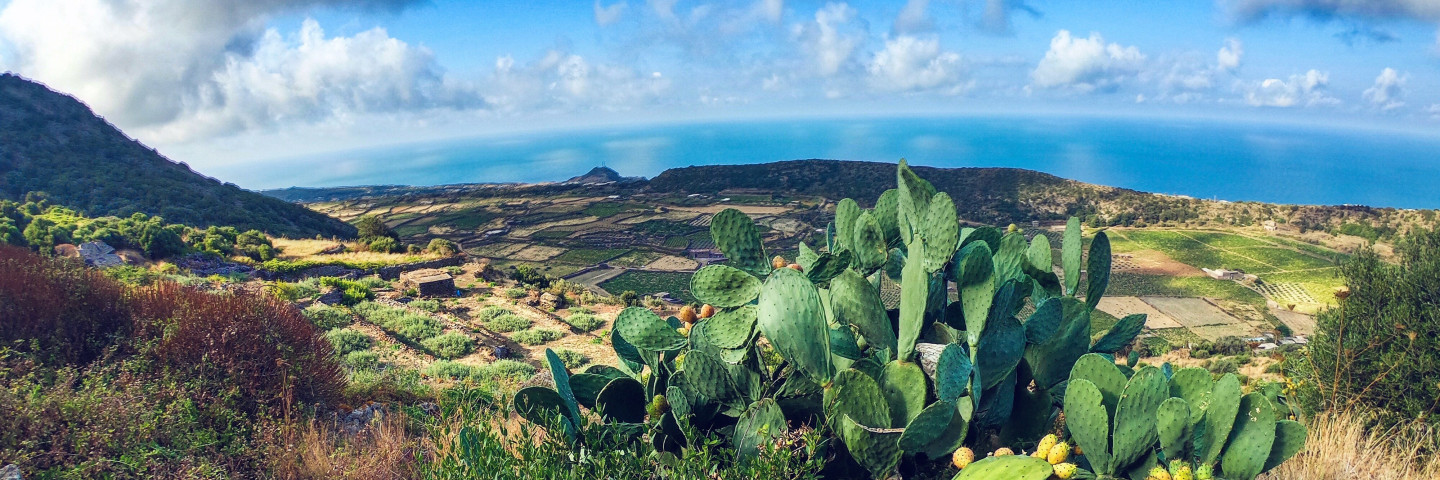Tauchen-Pantelleria