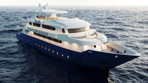 Tauchen Cocos Island