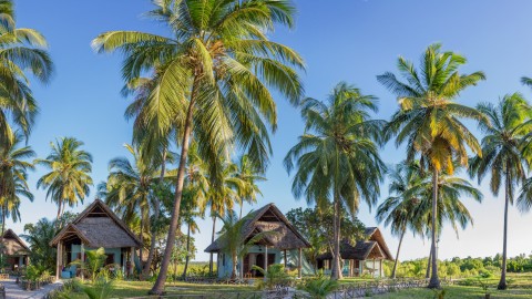 Tauchen Mafia Island