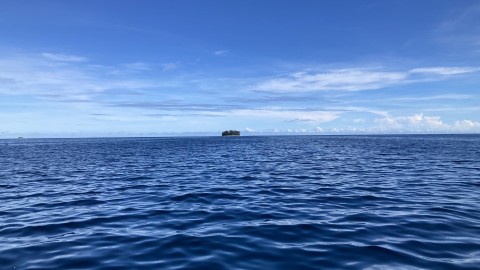 Tauchen Papua Neuguinea