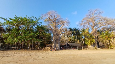 Tauchen Mayotte