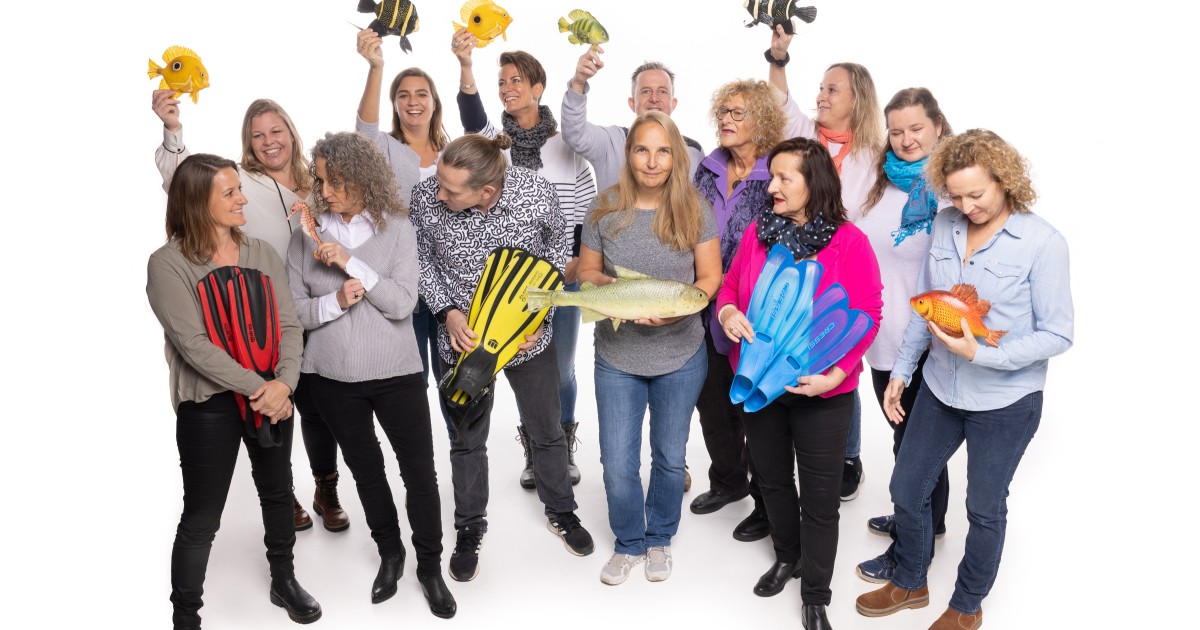 Copyright Diveandtravel.ch (c) Diveandtravel.ch