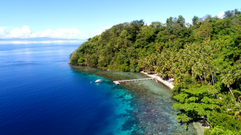 Tauchen Halmahera