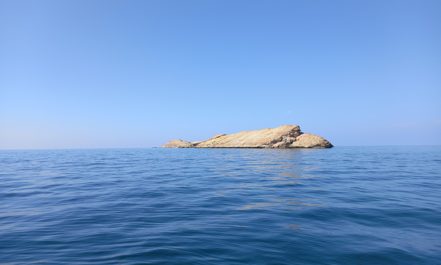 Oman Tauchen Plongee